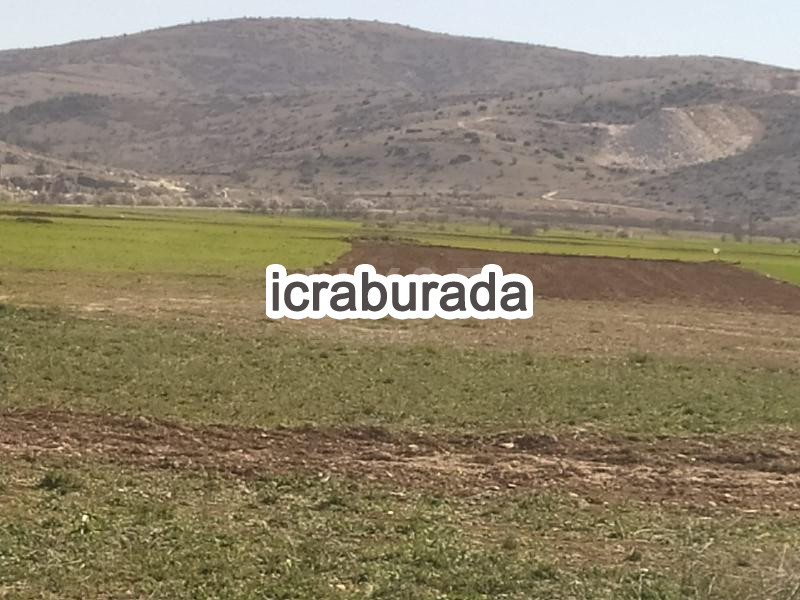 icralık  m2 Tarla Uşak Ulubey Hasköy