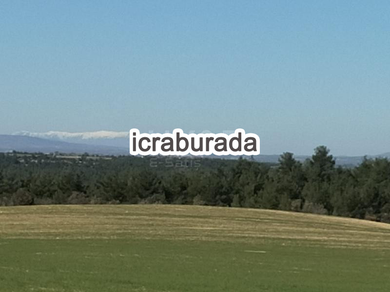 icralık  m2 Tarla Uşak Ulubey Hasköy