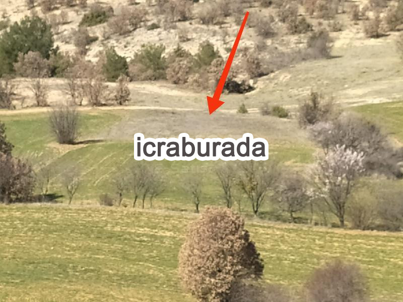 icralık  m2 Tarla Uşak Ulubey Hasköy