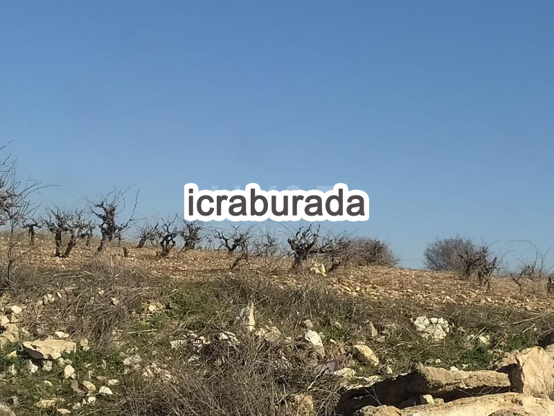 icralık  m2 Tarla Uşak Ulubey Hasköy