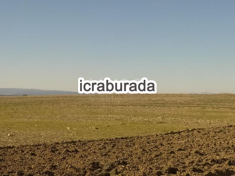 icralık  m2 Tarla Uşak Ulubey Hasköy