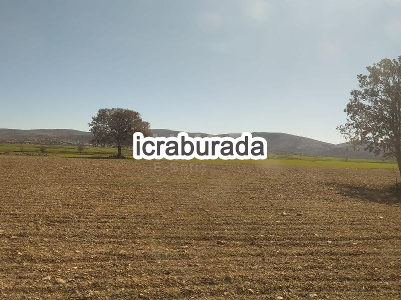 icralık  m2 Tarla Uşak Ulubey Hasköy