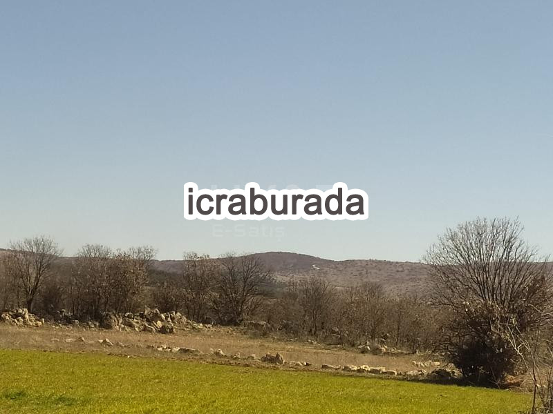 icralık  m2 Tarla Uşak Ulubey Hasköy