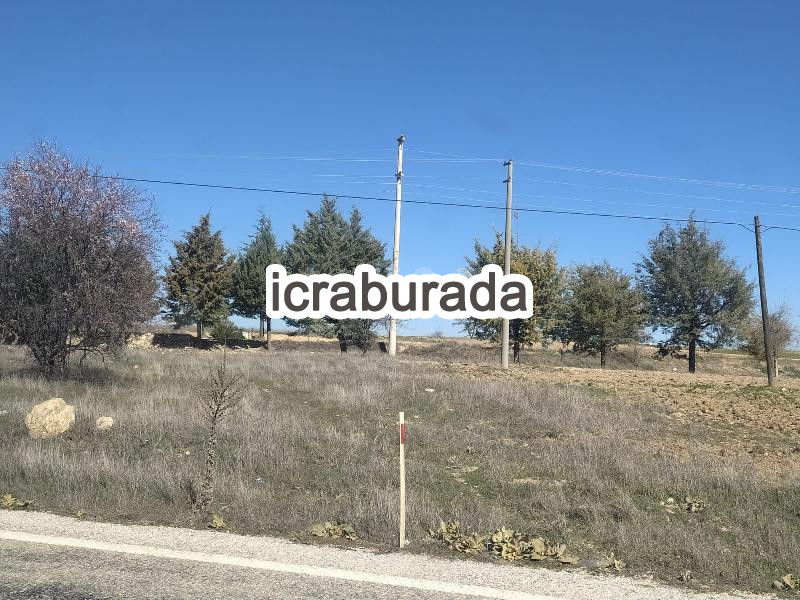 icralık  m2 Tarla Uşak Ulubey Hasköy