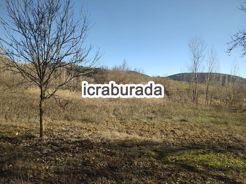 icralık  m2 Bag Uşak Ulubey Hasköy
