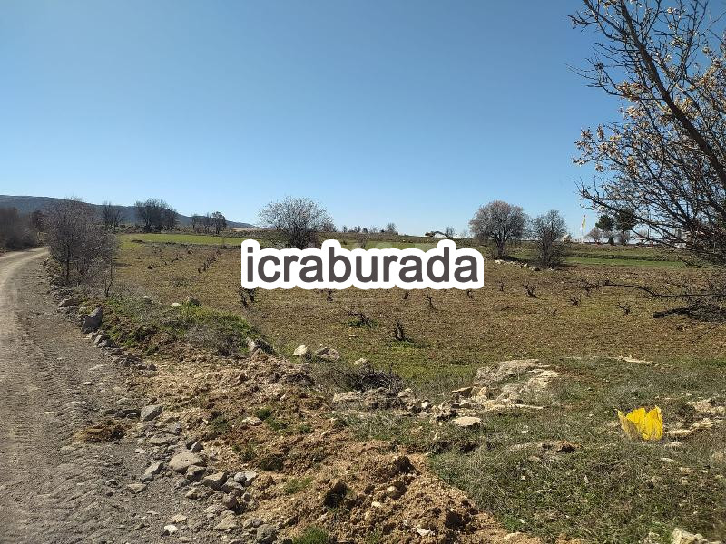 icralık  m2 Tarla Uşak Ulubey Hasköy