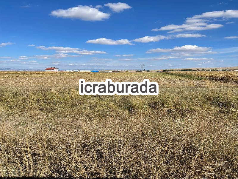 icralık  m2 Tarla Eskişehir Odunpazarı Sevinç
