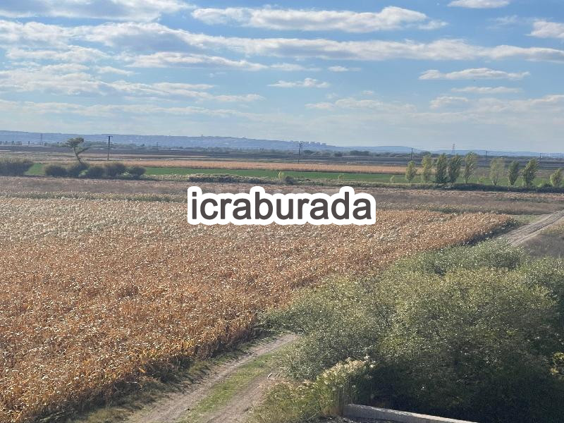 icralık  m2 Tarla Eskişehir Odunpazarı Sevinç