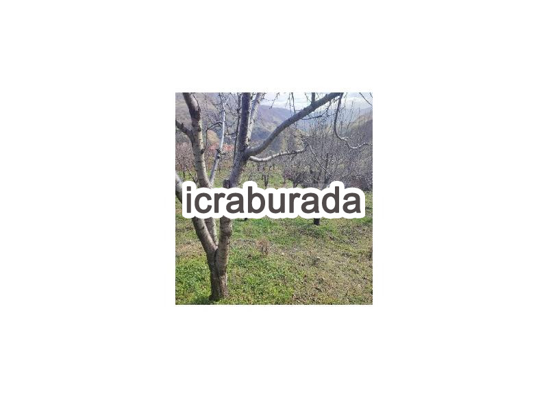 icralık  m2 Tarla Aydın Nazilli Aşağiyakacik