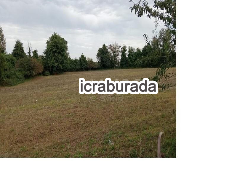 icralık  m2 Tarla Samsun Çarşamba Kirazlikçay