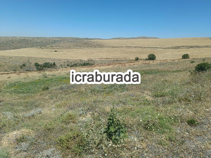 icralık  m2 Tarla Nevşehir Gülşehir Gümüşkent