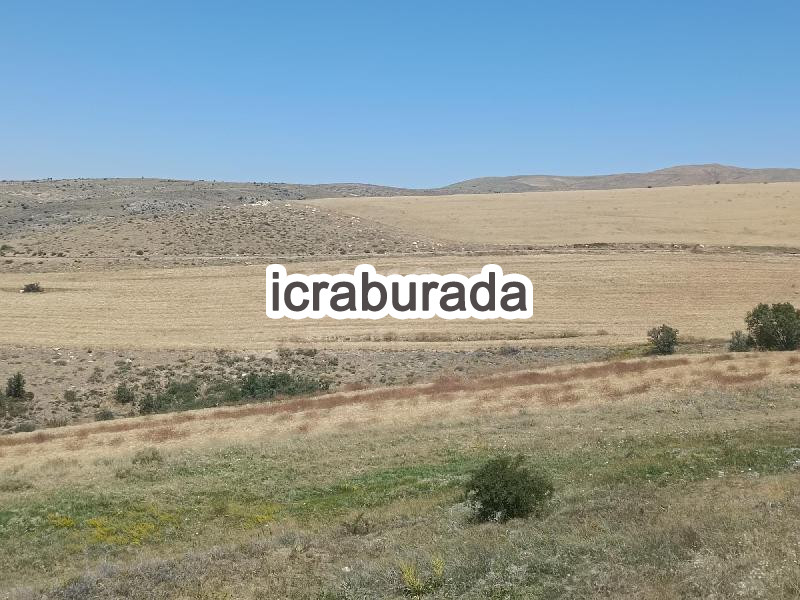 icralık  m2 Tarla Nevşehir Gülşehir Gümüşkent
