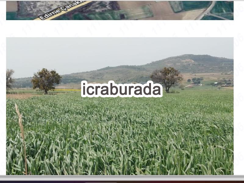 icralık  m2 Tarla Çanakkale Gelibolu Sütlüce