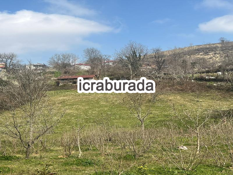 icralık  m2 Tarla Samsun Canik Gölalan