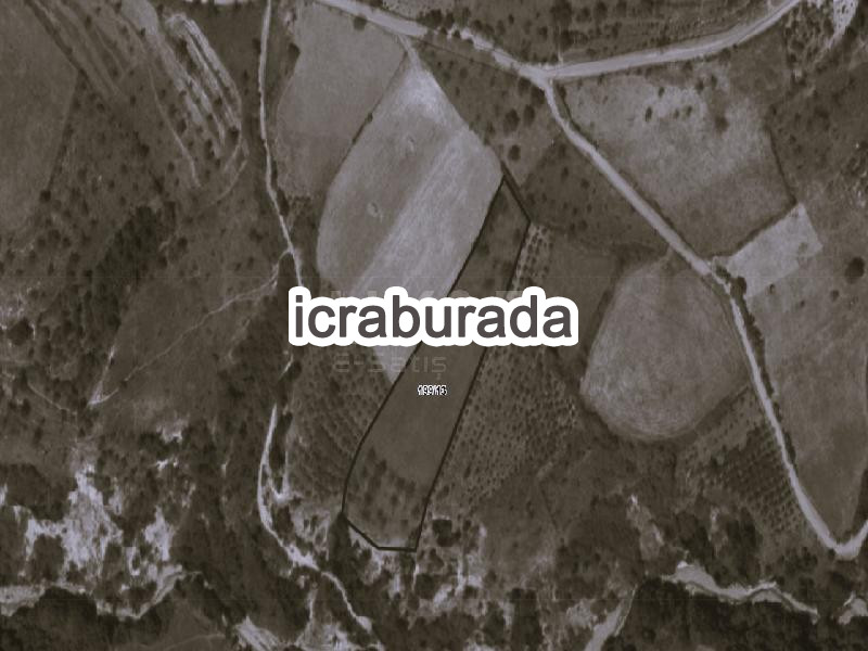 icralık  m2 Tarla Samsun Canik Gölalan