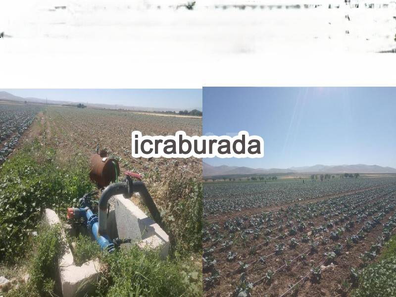 icralık  m2 Tarla Niğde Bor Kaynarca