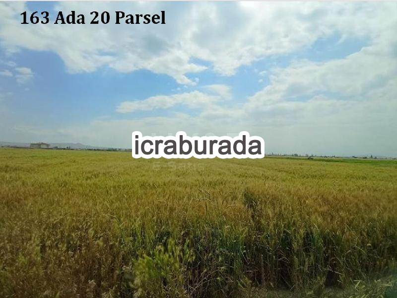 icralık  m2 Tarla Niğde Merkez Alay/milliyet
