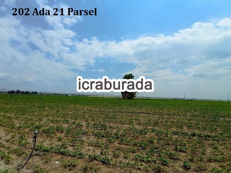 icralık  m2 Tarla Niğde Merkez Alay/milliyet