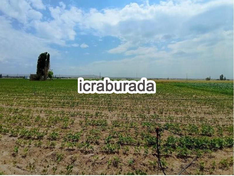 icralık  m2 Tarla Niğde Merkez Alay/milliyet