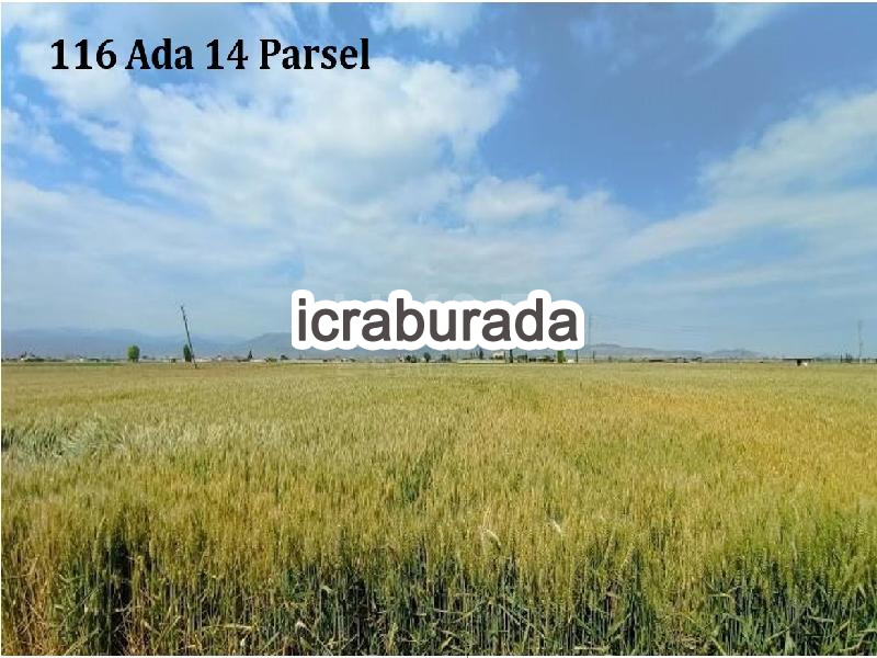 icralık  m2 Tarla Niğde Merkez Alay/cumhuriyet