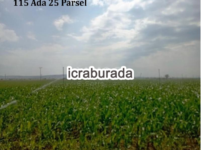 icralık  m2 Tarla Niğde Merkez Alay/cumhuriyet