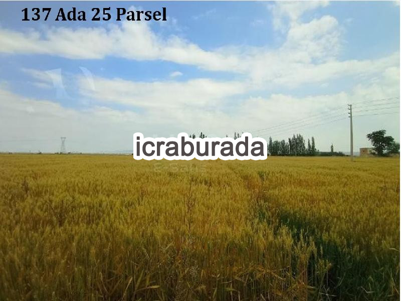 icralık  m2 Tarla Niğde Merkez Alay/cumhuriyet
