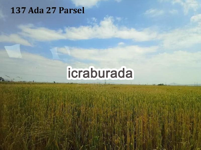 icralık  m2 Tarla Niğde Merkez Alay/cumhuriyet