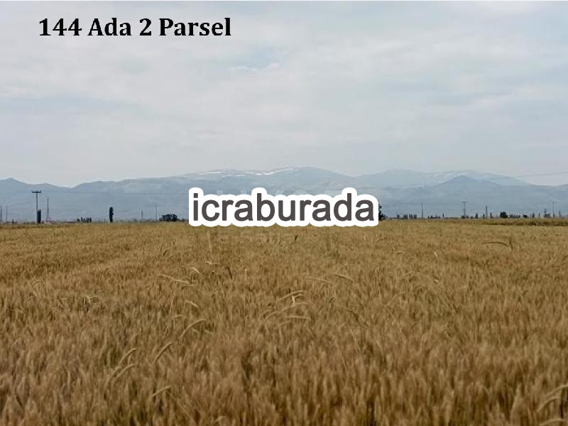 icralık  m2 Tarla Niğde Merkez Alay/hürriyet