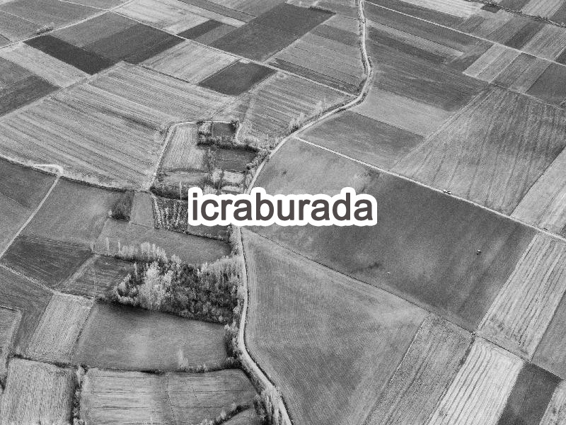 icralık  m2 Tarla Amasya Merzifon Yakup