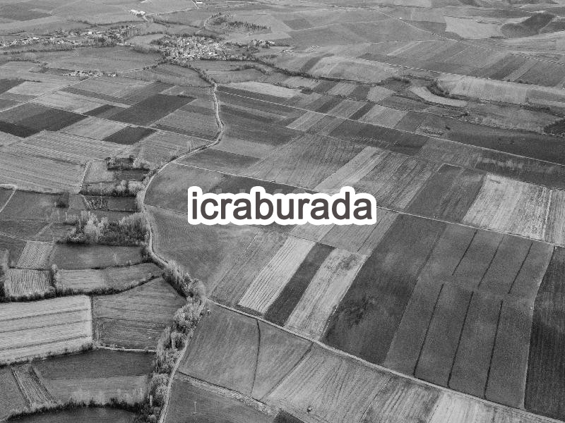 icralık  m2 Tarla Amasya Merzifon Yakup