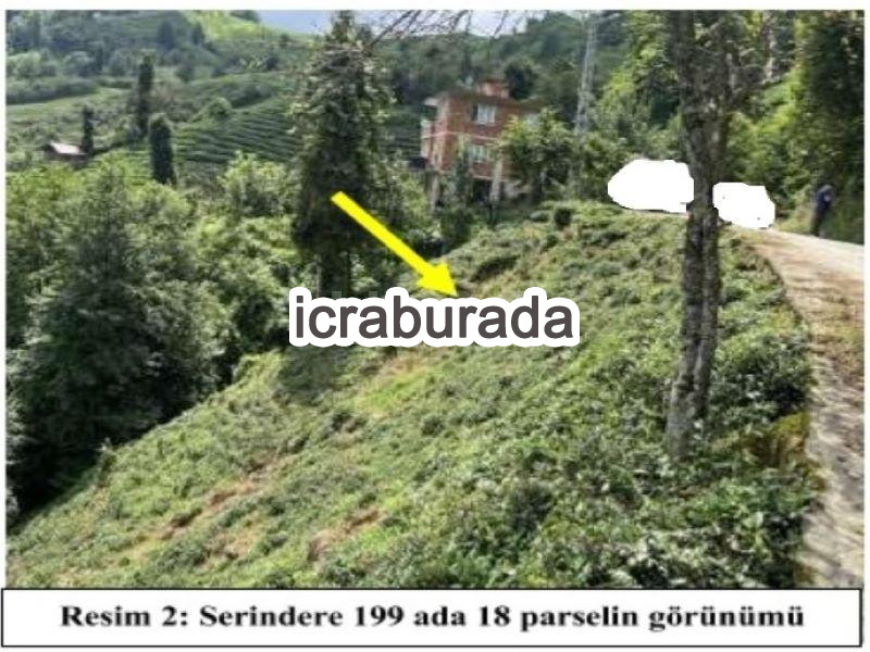icralık  m2 Diger Rize Ardeşen Serindere