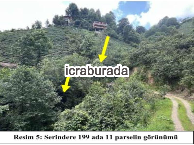 icralık  m2 Diger Rize Ardeşen Serindere