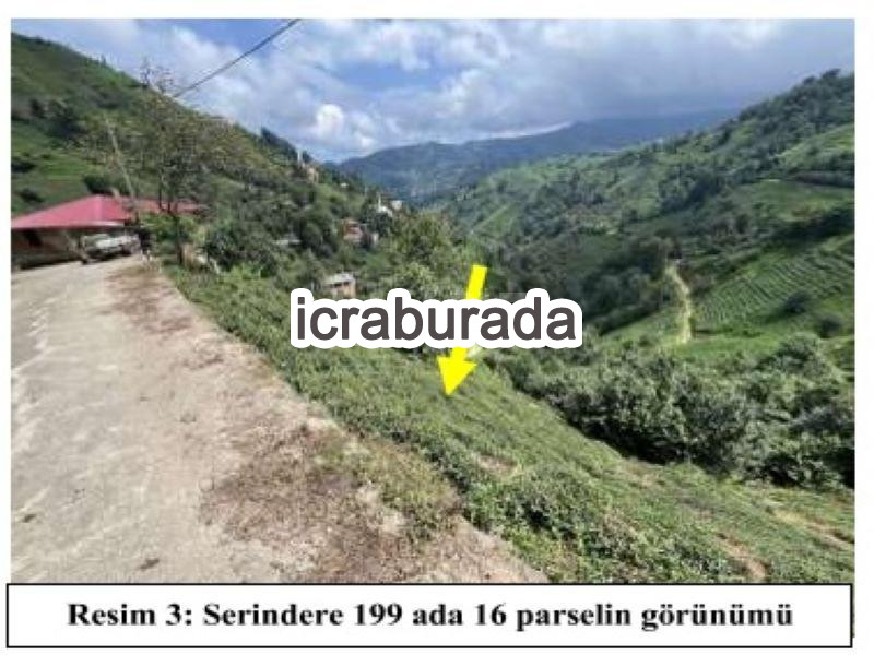 icralık  m2 Diger Rize Ardeşen Serindere