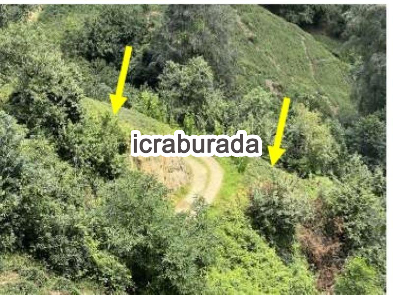 icralık  m2 Diger Rize Ardeşen Serindere