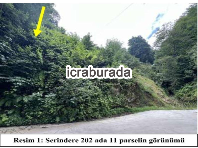 icralık  m2 Diger Rize Ardeşen Serindere