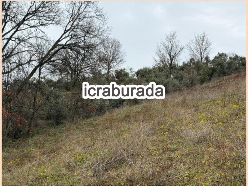 icralık  m2 Tarla Manisa Alaşehir Uluderbent