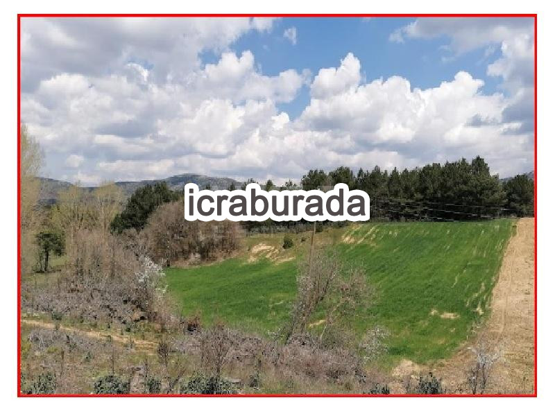 icralık  m2 Tarla Manisa Gördes Çiçekli