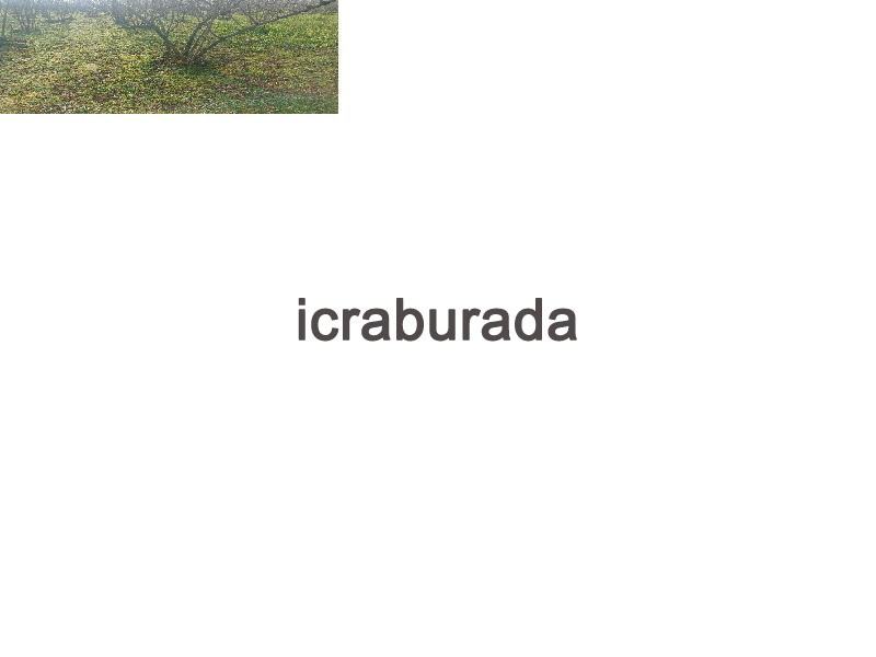icralık  m2 Tarla Düzce Akçakoca Melenağzi