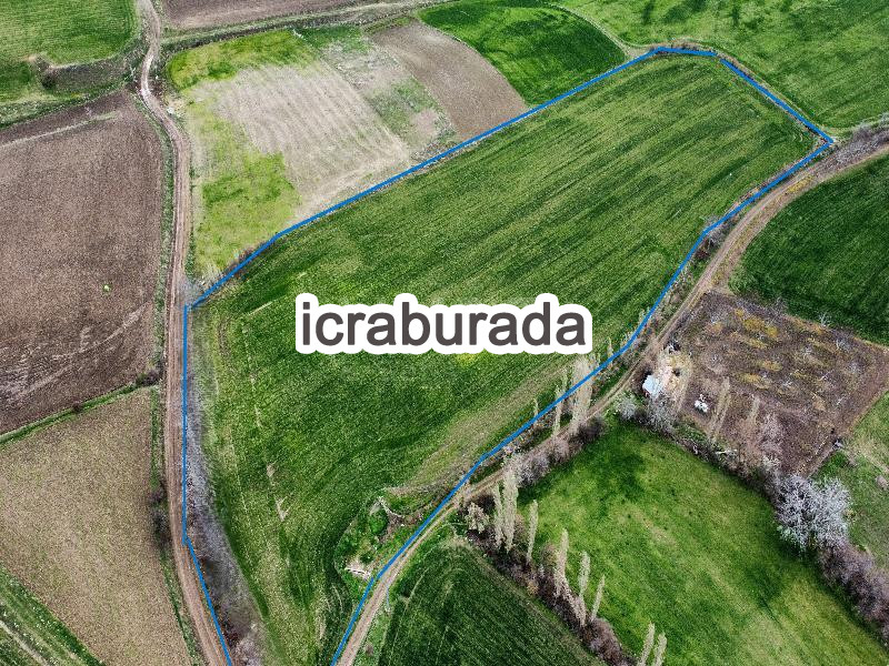 icralık  m2 Tarla Amasya Merzifon Hirka
