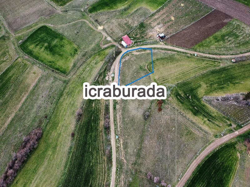 icralık  m2 Tarla Amasya Merzifon Hirka