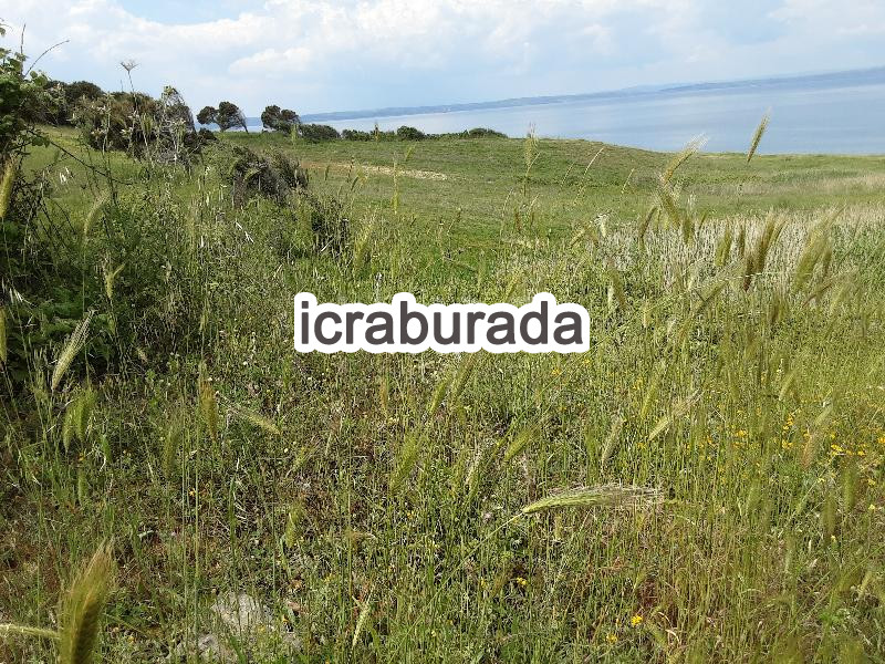 icralık  m2 Tarla Çanakkale Lapseki Alpagut