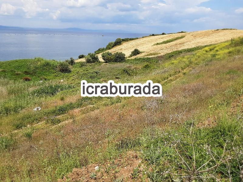 icralık  m2 Tarla Çanakkale Lapseki Alpagut