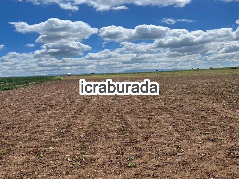icralık  m2 Tarla Uşak Merkez Koyunbeyli