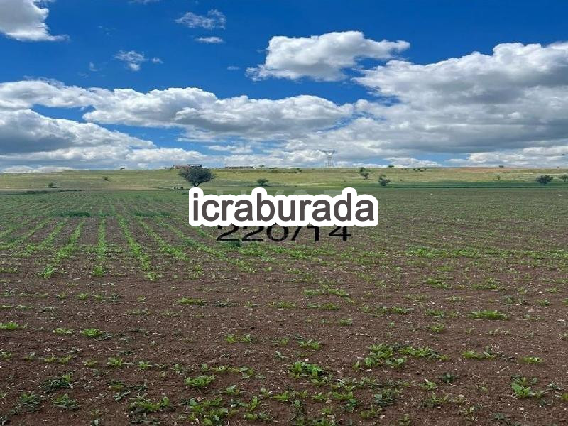 icralık  m2 Tarla Uşak Merkez Koyunbeyli