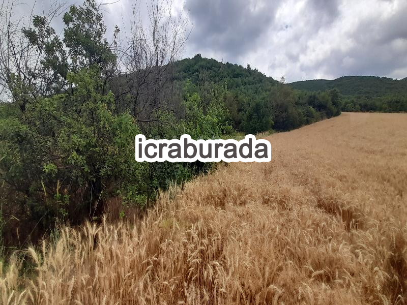 icralık  m2 Diger Tokat Erbaa Koçak