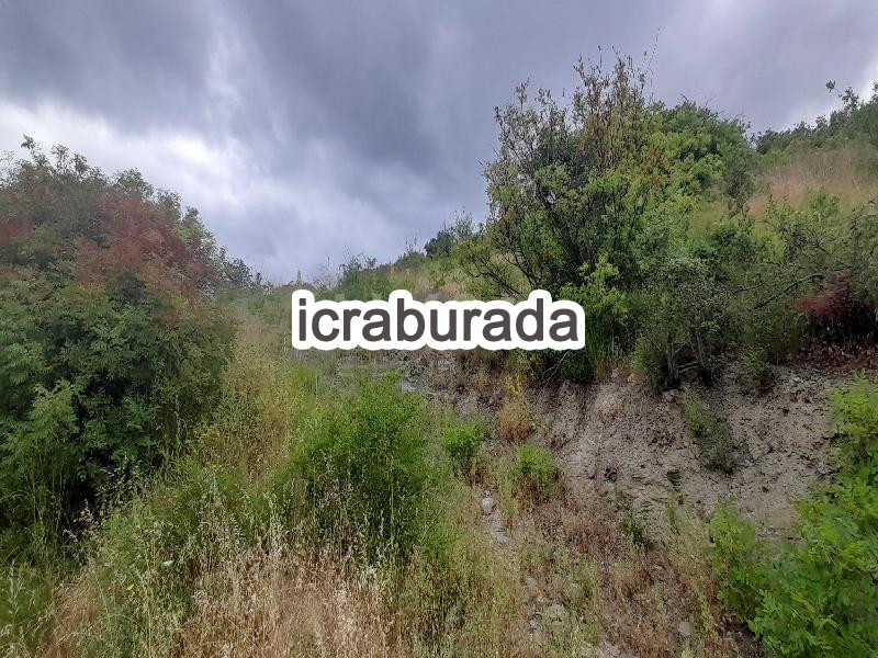 icralık  m2 Bag Tokat Erbaa Koçak