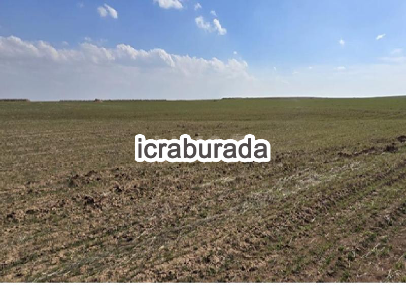 icralık  m2 Tarla Konya Sarayönü Karabiyik
