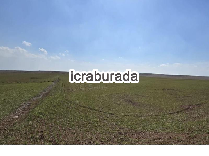 icralık  m2 Tarla Belirtilmedi Belirtilmedi Belirtilmedi