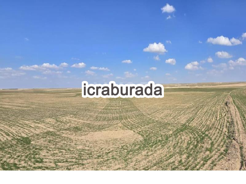 icralık  m2 Tarla Belirtilmedi Belirtilmedi Belirtilmedi