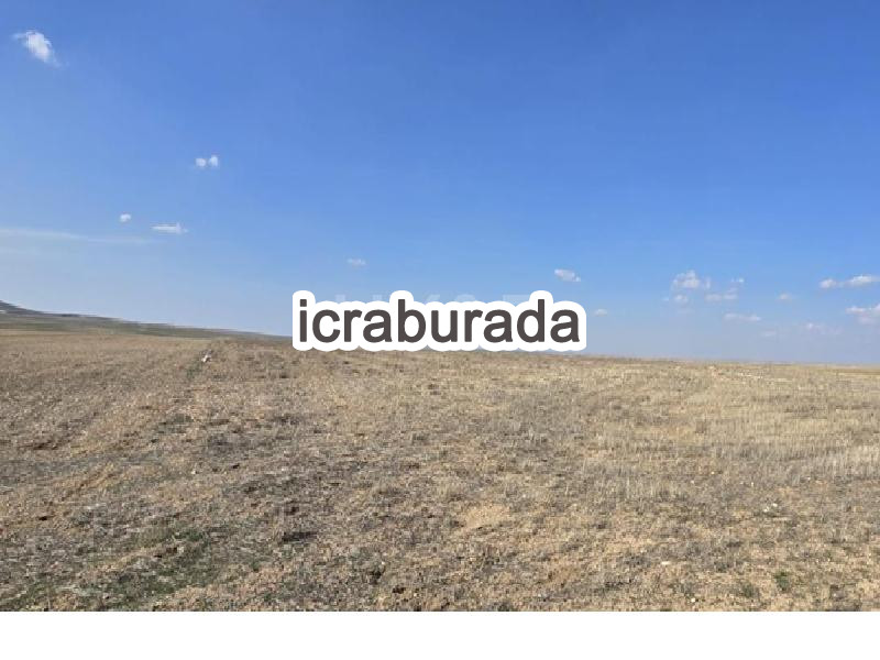 icralık  m2 Tarla Belirtilmedi Belirtilmedi Belirtilmedi